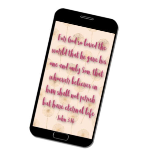 Phone Wallpaper John 3:16