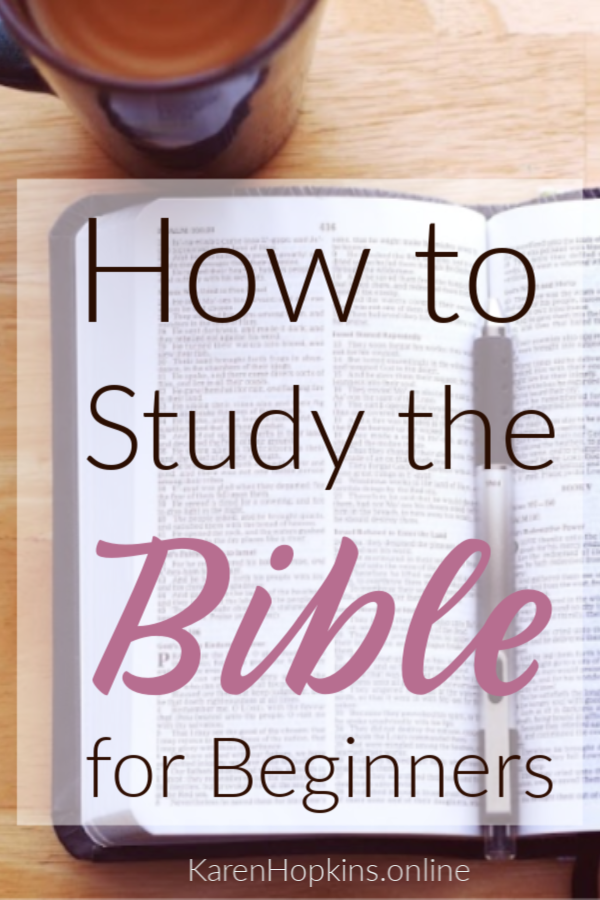Bible Study For Beginners Karen Hopkins Online